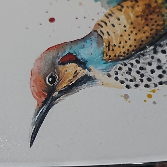 Northern Flicker Bird Watercolor Oil Painting Framed Art‎ Print - Picture 5 of 9